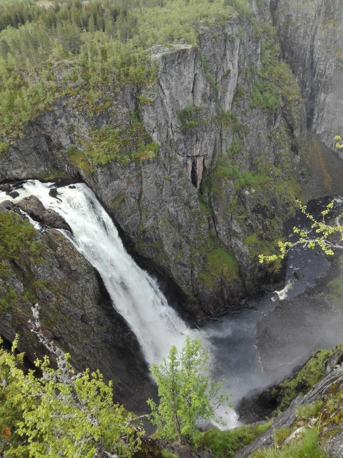 Liseth Pensjonat Og Hyttetun Eidfjord Ngoại thất bức ảnh